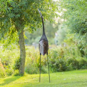 Kroonkraanvogel